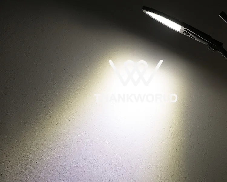 TW-SL1009 (4)