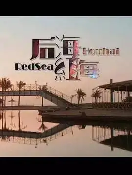 后海·红海迅雷下载