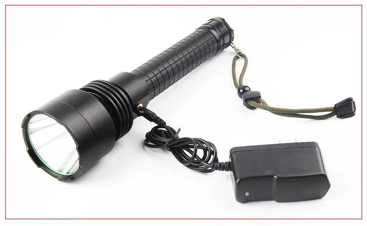 7998616826_555801383