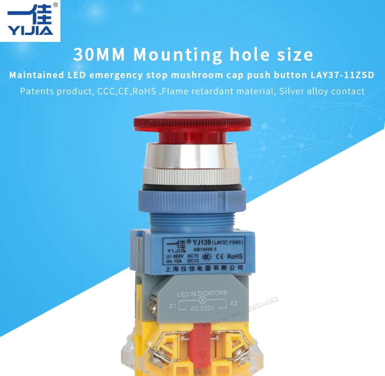 30MM-LAY37--_01