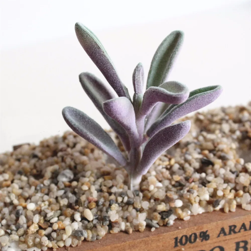 

Artificial Agave Plants Faux Succulent Picks Decorative Fake Ferns Cactus Succulent Large Stems Imitation Plastic With Flocking