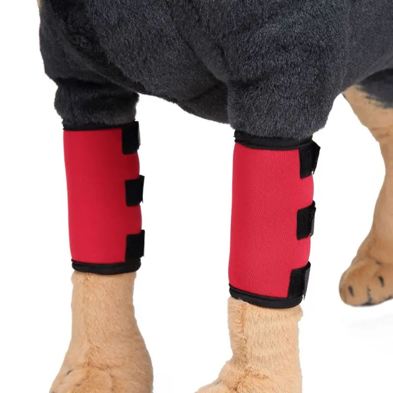 

Dog Leg Protection Brace Prevents Injuries Front Leg Brace Paw Compression Wraps With Protect Wounds Brace Heals Pet Product
