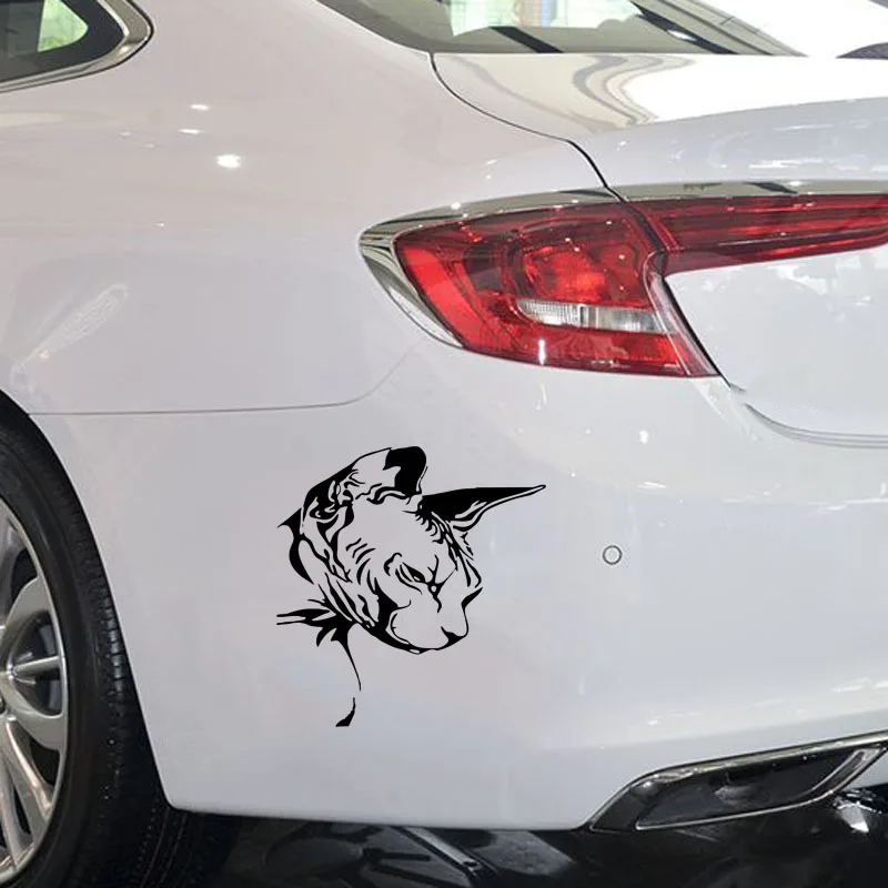 Автомобильная наклейка для Сфинкса кошачья модная виниловая Стайлинг красивые