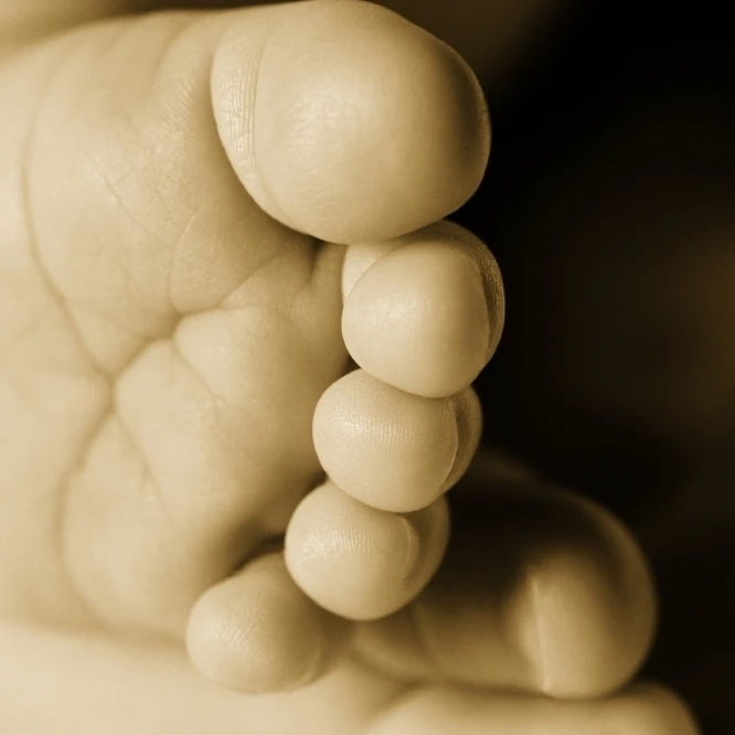 A Baby's Feet Poster Print (11 x 17)