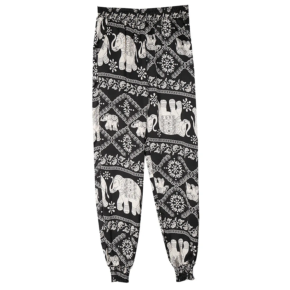 3933514954_1198281653