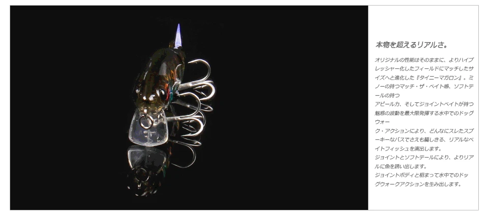 2918329615_1555068555