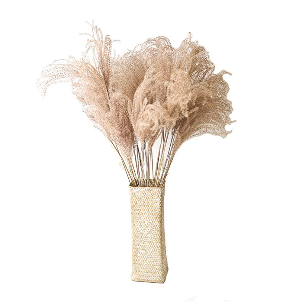 Cena 10 sztuk 20 sztuk wystrój domu ślubu małe pampas trzciny trawy suszone naturalne phragmites kwiaty bukiety 3 kolory