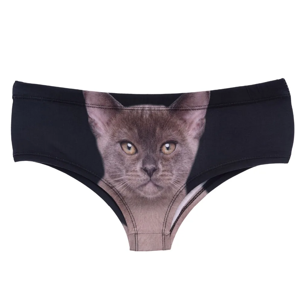 39427 kitty black (3)
