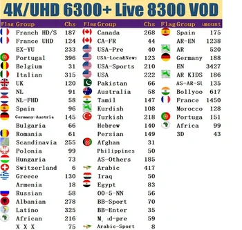 

IPTV Arab Spanish French Italian Channel Best Swedish Adult Channel Sports Channel VOD Order