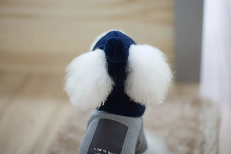 pet hat (4)