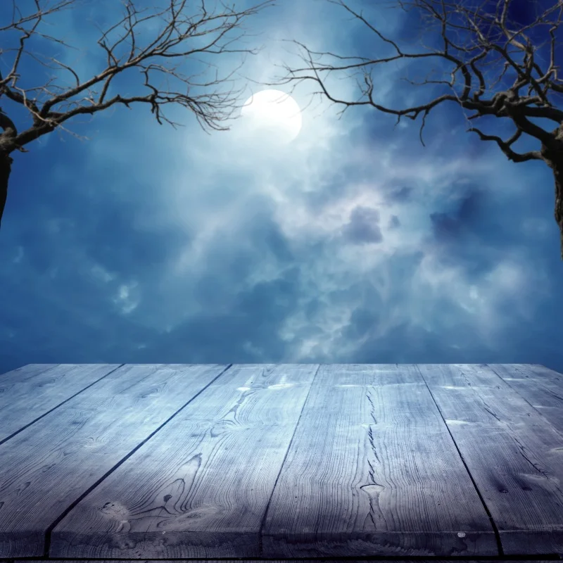 

Laeacco Photo Backdrop Moon Cloud Tree Night Wild Scenic Wooden Board Portrait Photo Backgrounds Photocall Photo Studio