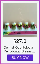 Alta Qualidade Dental Typodon Dentes Modelo - Ortodôntico Steelteeth M8017 27 Cheap Modelo de Ensino Dental