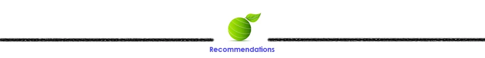 Recommendations