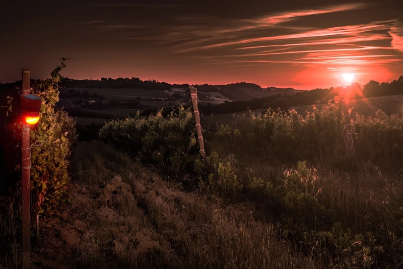 Segurança e Proteção