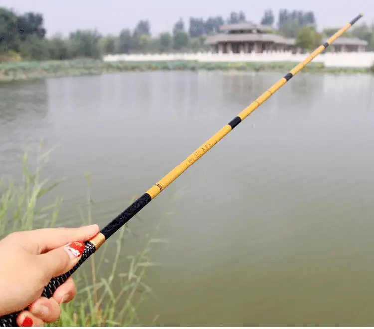 carp fishing rod