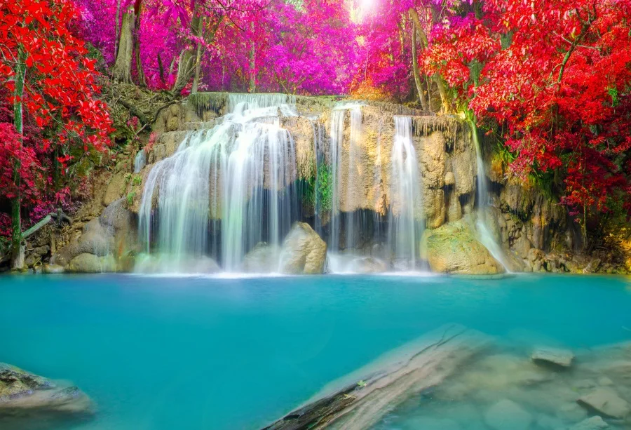 Unduh 44 Koleksi Background Cantik Hutan HD Gratis