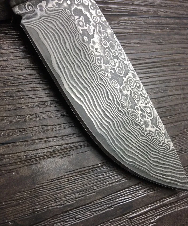 2950230611_742635196