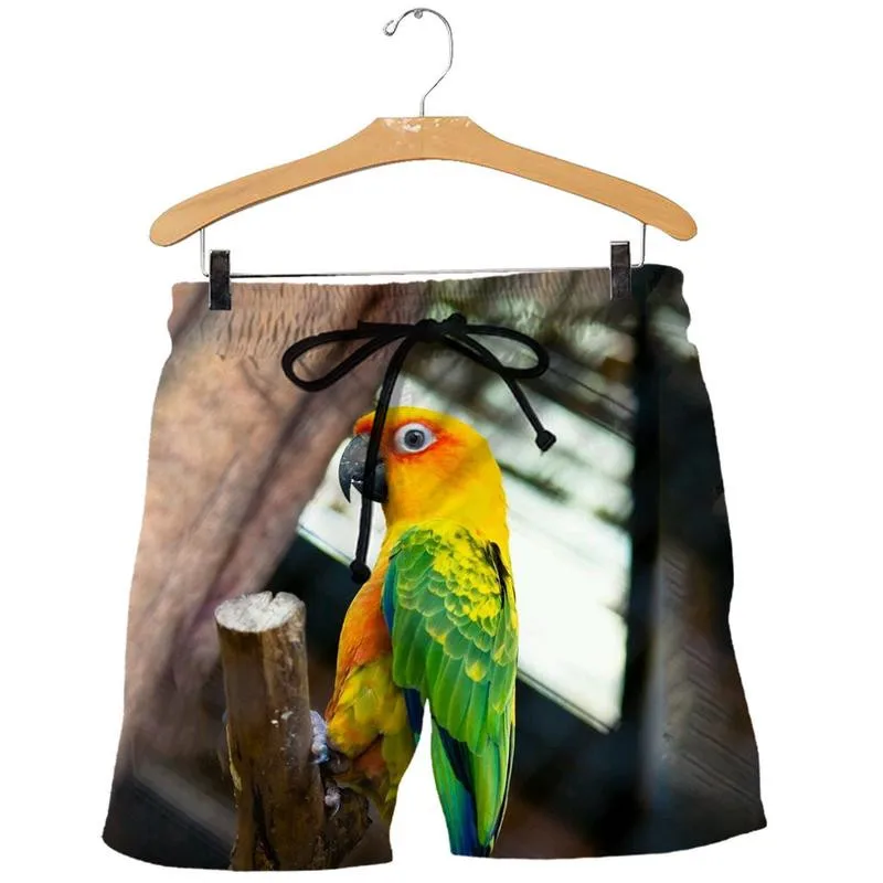 D_c_Sun_Conure_3D_DT231003_SHORTS_800x