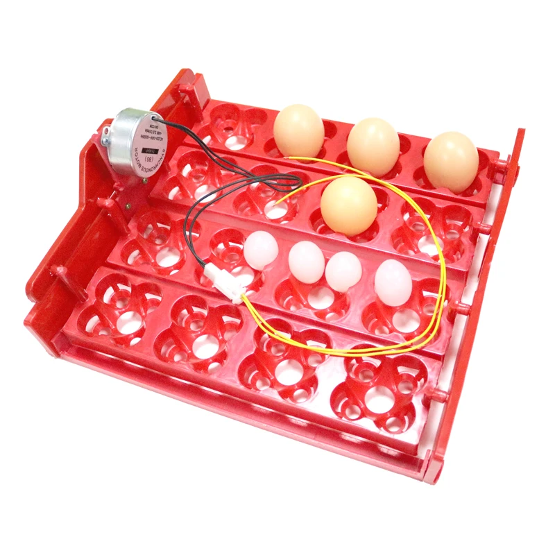 Quail Incubator 16 Eggs Or 64 Birds Eggs Automaticturn Eggs Tray Hand