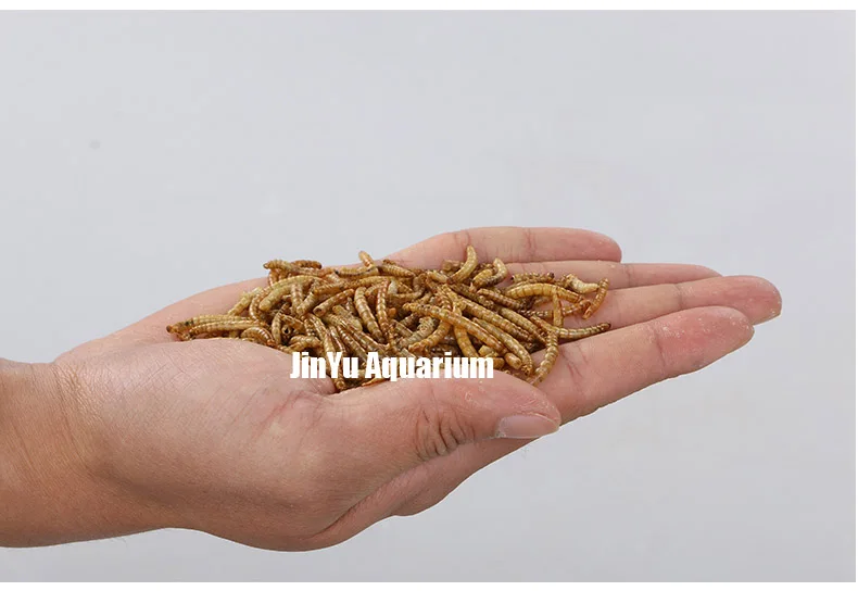 Черепаха Рыба еда mealworm сухой cichild цветочный Рог arowana еда аквариумная кормушка для рыб поплавок на воде