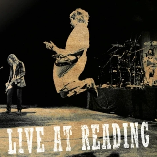 Nirvana - Live At Reading Laminated Poster (24 X 36)