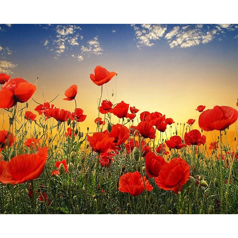 Poppy Цветочная живопись полная Алмазная картина наборы вышивки крестом мозаичный