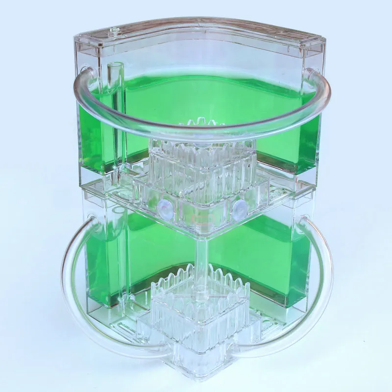 Ant Farm DIY with feeding area ant nest Ant farm acryl Insect ant nests villa pet  for house ants Insect Ecology Box Natural toy (5)