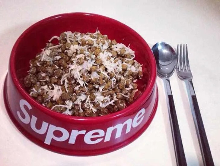dog bowl supreme