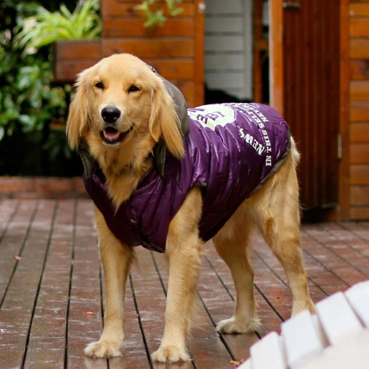 Одежда для больших собак с французским бульдогом, зимняя куртка, водонепроницаемая утепленная, теплая, Питбуль, Хаски, боксер, Питбуль, средняя, большая, куртка с капюшоном для собак