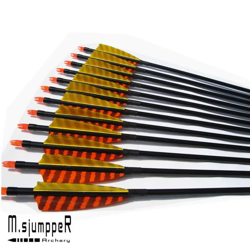 Archery Hunting Fiber Glass Arrows Removable Arrowheads 4" Feather For