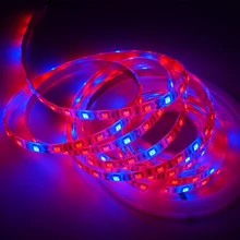 5m/rolls dc12v 5050 chip 300leds led strip para plantas crescer luz led phyto lâmpada para estufa hidropônica planta 60leds/m fita