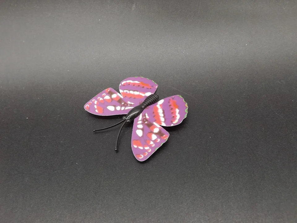 I247-Butterfly (7)