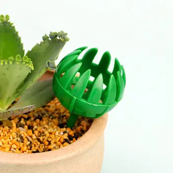 

30/50pcs Bonsai Fertilizer Box Plastic Fertilizer Cover Box Basket Bonsai Tools Portable Nursery Pots Garden Supplies Hot Sale