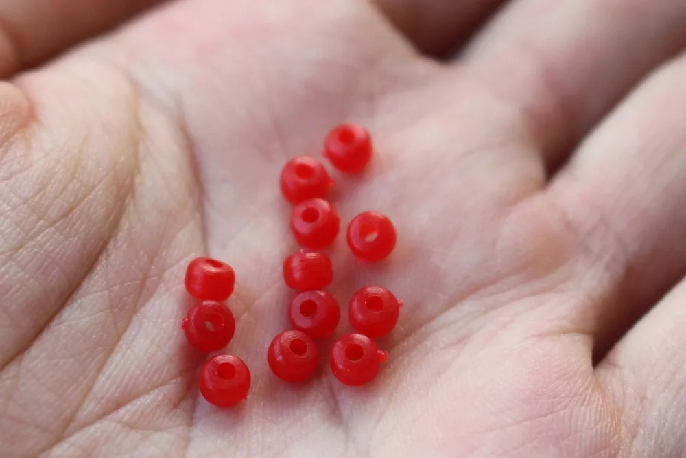 IMG_7919