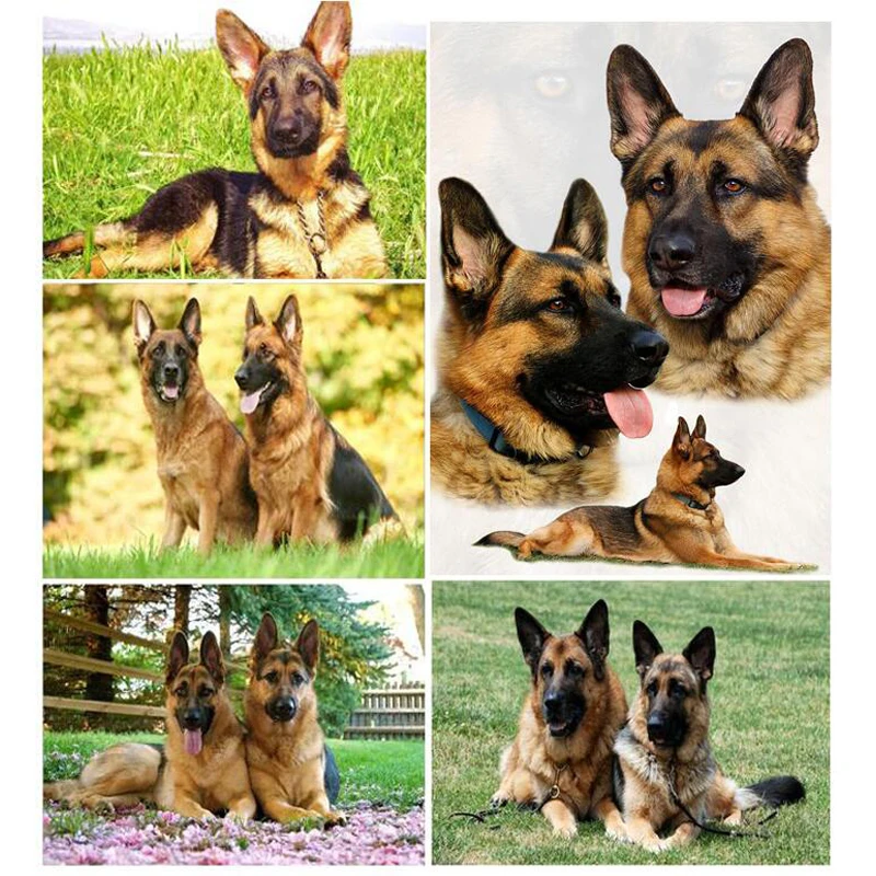 

5d DIY Diamond Painting Cross Stitch german shepherd rottweiler Dog Diamond Embroidery Full Square Drill Home Decor C576