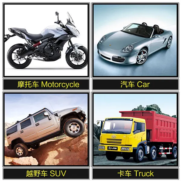 Supported-Vehicle