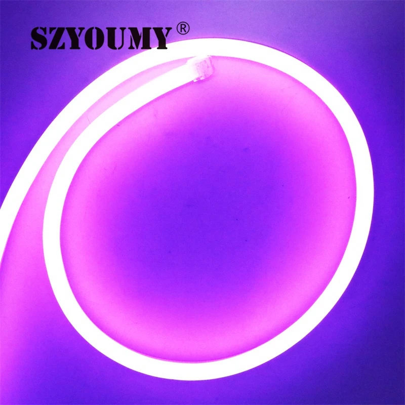 SZYOUMY Светодиодные ленты неоновые огни Гибкая RGB 220 В 110 В 12 В светодиодный мягкий свет Водонепроницаемый на открытом воздухе Красочные для