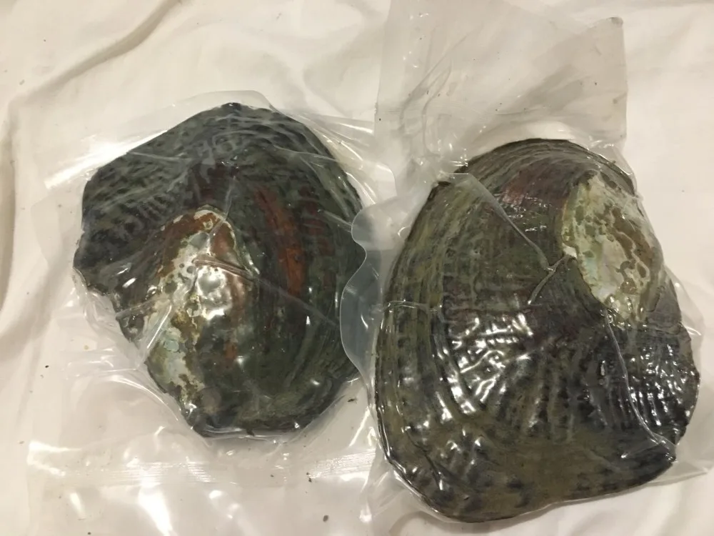 10 шт. Большой жемчуг Oyster Monster Pearl удивительный натуральный пресноводный в