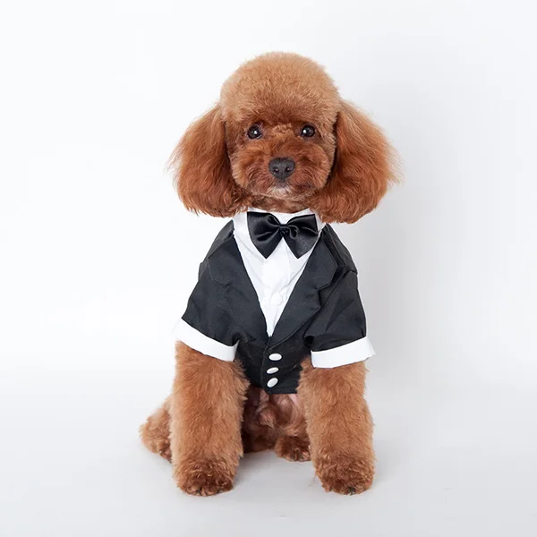 Милая Одежда для собак и кошек, Свадебный костюм принцессы, галстук-бабочка для смокинга, пальто для щенка, 5 размеров - Цвет: Черный