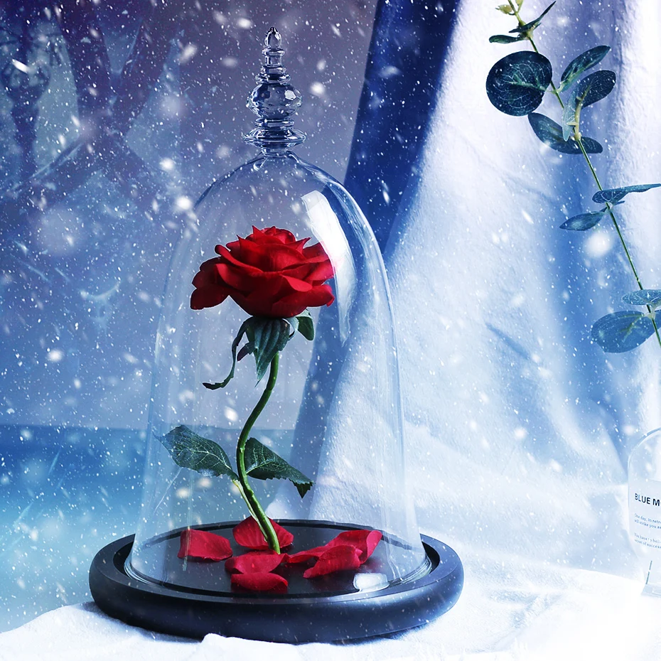 

Valentines Day Beauty Rose And Beast Red Flower Romantic Valentine's Day Birthday Gift Decoration Artificial Flowers