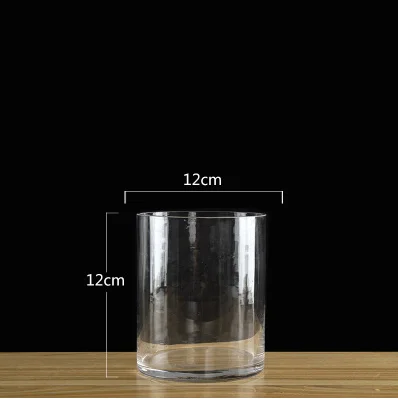 Простая прозрачная, Настольная стеклянная ваза, бутылка террариума, гидропонный контейнерный горшок, Цветочный Декор для дома и свадьбы - Цвет: 12x12cm