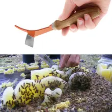 Pro скребок для улья профессиональная нержавеющая сталь деревянная рукоятка инструменты для пчеловодства нож медовый скребковый чистящий чехол для пчелы коробка