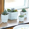 Garden Supplies