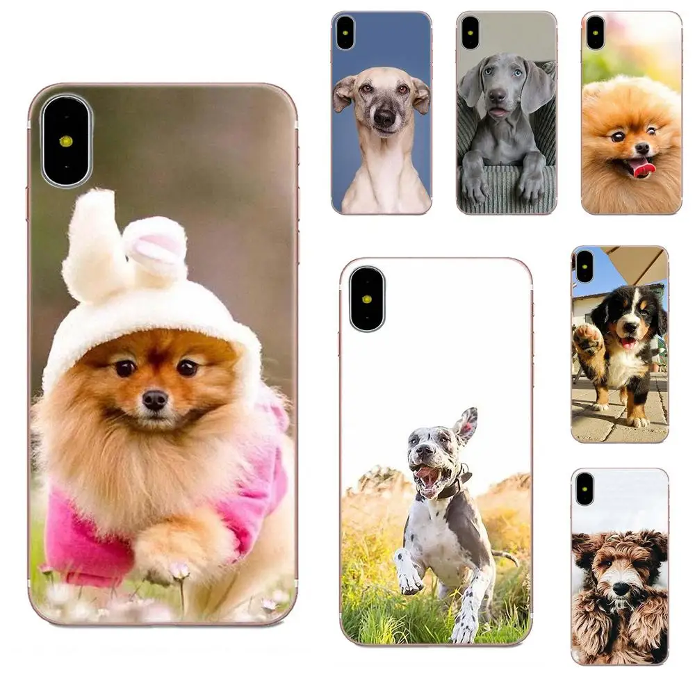 Мягкий резиновый чехол для телефона Samoyed Pomeranian dog Для Xiaomi Note 3 4 Mi3 Mi4 Mi4C Mi4i Mi5 Mi 5S 5X 6 6X