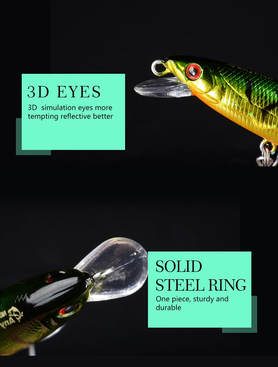 RV-MINNOW-80F_06