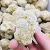 Natural unopened agate geode Rock Agate crystal stone Teaching specimen 4