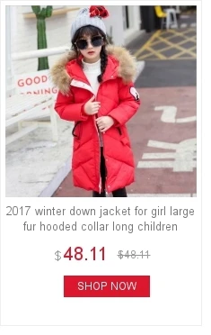 dianxiaobao