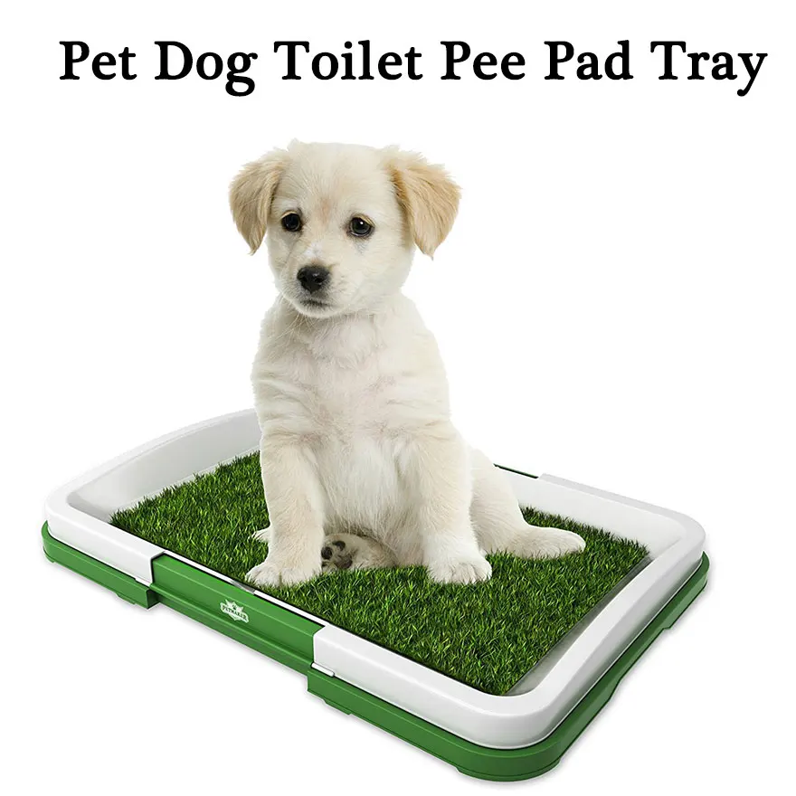 Dog Toilet Mat Dog Training Supplies Potty Pad Cat Tray Toilet