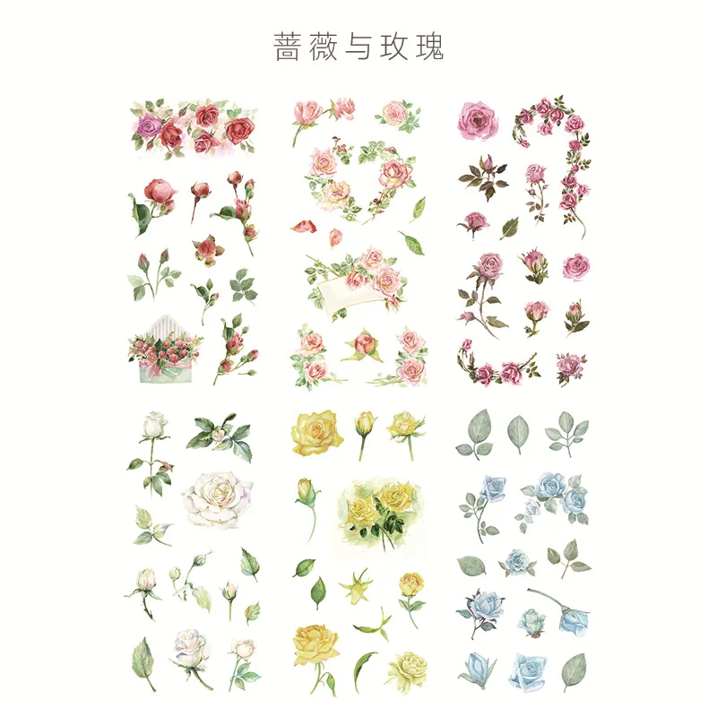 10305306541_82123617