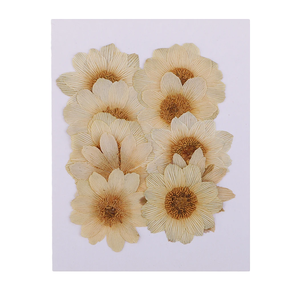 10 Pcs Dried Pressed ICE Flowers For Resin Flower DIY Arts Crafts Supplies